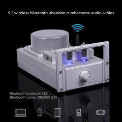 PA-SK75X Hybrid Integrated Amplifier (Tube Preamp + Solid-State Power) – True Vacuum Tube Desktop Amplifier for Home