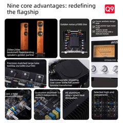 BRZHIFI High-Power Home Integrated Amplifier, P1000 Audiophile-Grade Hi-Fi Hi-End Circuitry