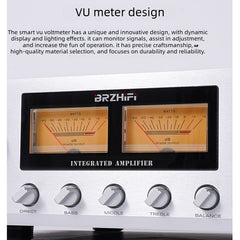 BRZHIFI High-Power Home Integrated Amplifier, P1000 Audiophile-Grade Hi-Fi Hi-End Circuitry