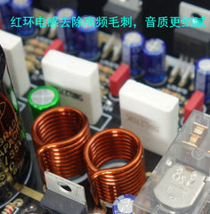 GC version LM1875 dual-chip parallel amplifier board kit – double-sided immersion gold PCB