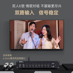 KA100 professional high-power, household karaoke amplifier, anti-howling, vocal Liyin adjustment