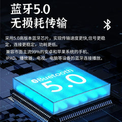 Bile machine TPA-6A2 fever Bluetooth 5.0 tube small digital power amplifier