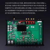 KA100 professional high-power, household karaoke amplifier, anti-howling, vocal Liyin adjustment