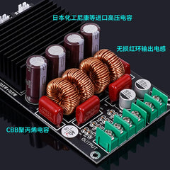 SAMP-100 TPA3255 – 2×300W (600W) high-power Hi-Fi digital amplifier board for audiophiles, 2-channel
