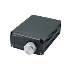 100W HIFI Fever Audio Professional Subwoofer, Class D Digital Power Amplifier, High Power Amplifier