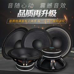 6.5 inch 8 inch 10 inch 12 inch 15 inch 18 inch subwoofer professional stage car speaker