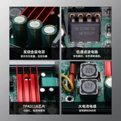 100W HIFI Fever Audio Professional Subwoofer, Class D Digital Power Amplifier, High Power Amplifier