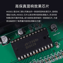KA100 professional high-power, household karaoke amplifier, anti-howling, vocal Liyin adjustment