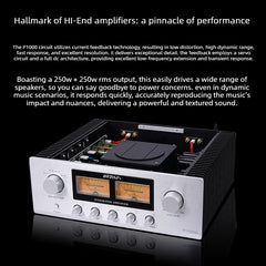 BRZHIFI High-Power Home Integrated Amplifier, P1000 Audiophile-Grade Hi-Fi Hi-End Circuitry