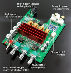 BL53A-TPA3116 | 2.0 Channel Digital Amplifier Board | Home-Use 100W x 2 with Premium Red Ring Inductors | Bluetooth 5.3