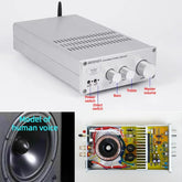 STK4196MK10 -4174 Bluetooth 5.0 HIFI high-performance amplifier, far superior to LM3886