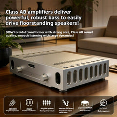 BRZHIFI Reference Berlin 933 Circuit Amplifier Home High-Power BZ-933 AB Class Amplifier