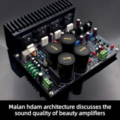 Classic Reproduction Maran HDAM Sweet-Vocal Amplifier: Audiophile-Grade Amplifier Board with Original Field-Effect Input Transistors