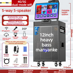 Outdoor Karaoke Speaker with Display & Powerful Subwoofer | Bluetooth Portable Singing Machine | All-in-One Audio System