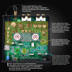 65U Tube Preamp & Lossless Player (USB/TF Card) – Audiophile Line Preamp & Headphone Amp