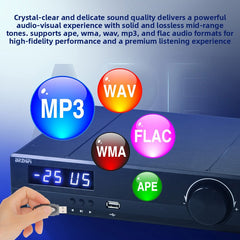 BRZHIFI high-power digital power amplifier, X21 heavy bass, 2.1 channel audiophile level Bluetooth 5.1
