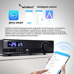 BRZHIFI high-power digital power amplifier, X21 heavy bass, 2.1 channel audiophile level Bluetooth 5.1