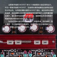 PA-ir600 gold sealing field effect MOS transistor class D digital power amplifier, hifi fever high power household digital power amplifier