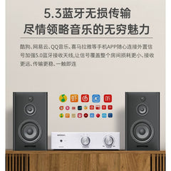 PA-425 Thick Film Fever Pure Post-Stage Home Desktop High Power Amplifier 130W Bluetooth 5.3