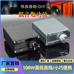 100W HIFI Fever Audio Professional Subwoofer, Class D Digital Power Amplifier, High Power Amplifier