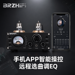 Bile machine digital power amplifier, M5N household fever tube power amplifier, high fidelity Bluetooth 5.0