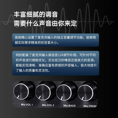KA100 professional high-power, household karaoke amplifier, anti-howling, vocal Liyin adjustment