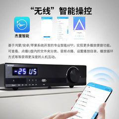 Fever digital power amplifier, X20 dual-core TPA3255 high power, 600W Bluetooth 5.1