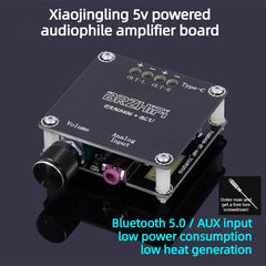 Pixie PAM8406 Mini Speaker | DIY Audiophile-Grade Class D Digital Amplifier Board | 5V Power Amplifier Bluetooth Module
