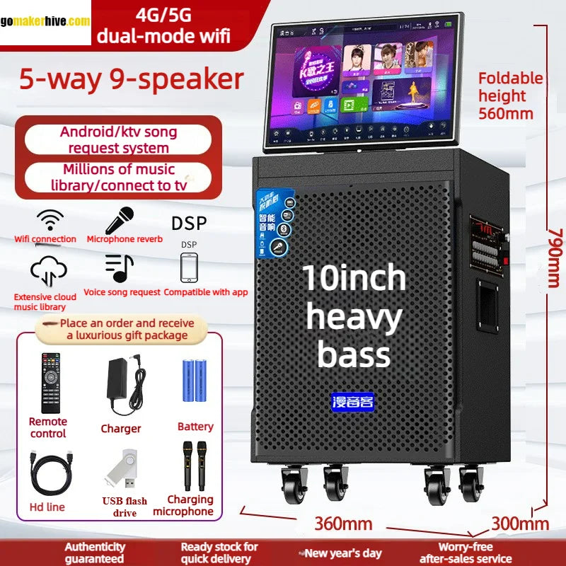 Outdoor Karaoke Speaker with Display & Powerful Subwoofer | Bluetooth Portable Singing Machine | All-in-One Audio System