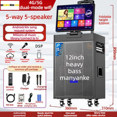 Outdoor Karaoke Speaker with Display & Powerful Subwoofer | Bluetooth Portable Singing Machine | All-in-One Audio System