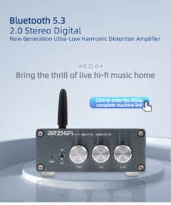 bl53a tpa3116 | 2.0 channel digital amplifier board | home use 100w x 2 with premium red ring inductors | bluetooth 5.3